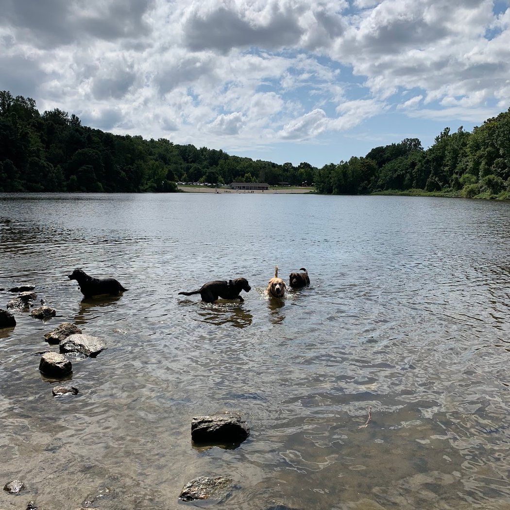 Lake Mohegan 3