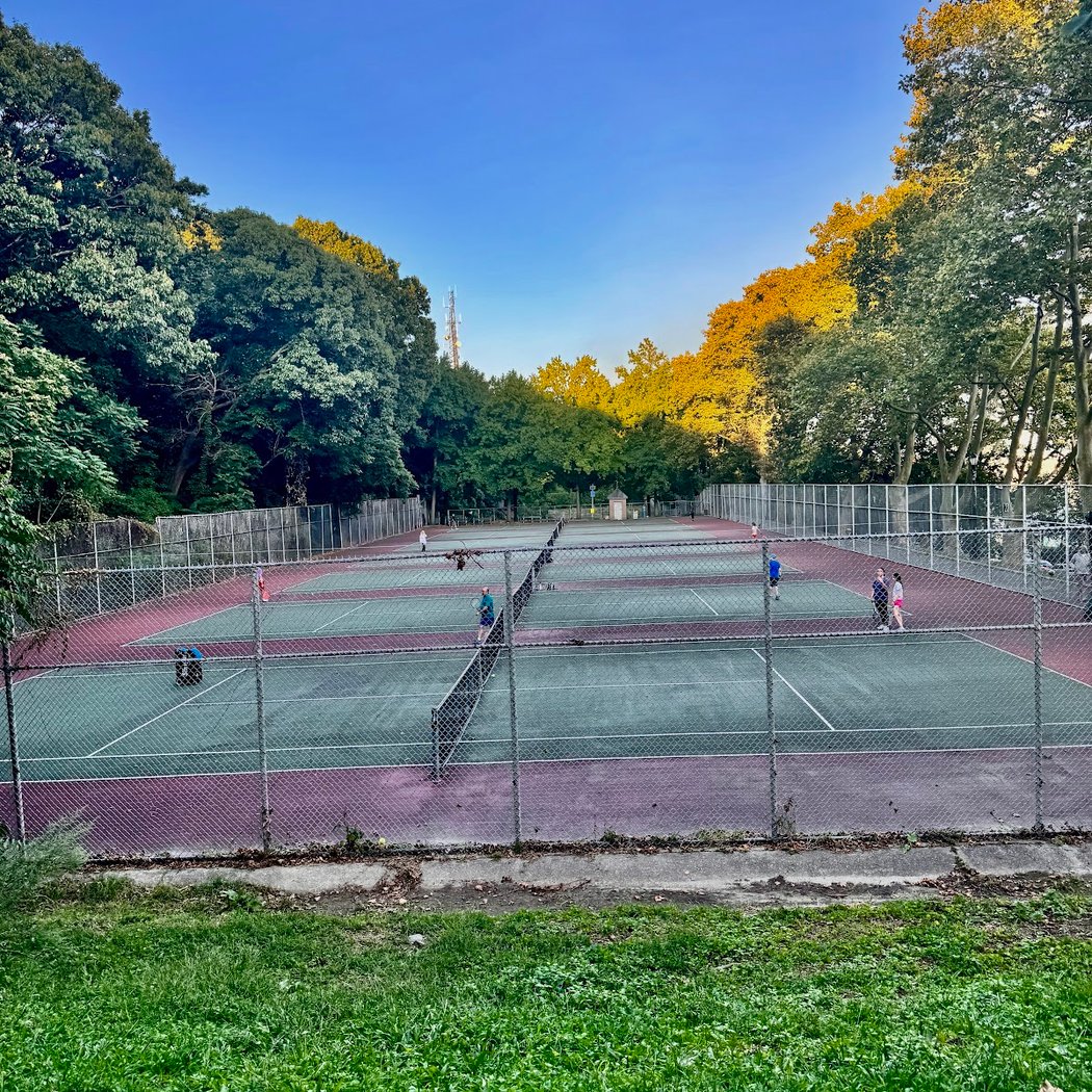 Forest Park Tennis Courts 2