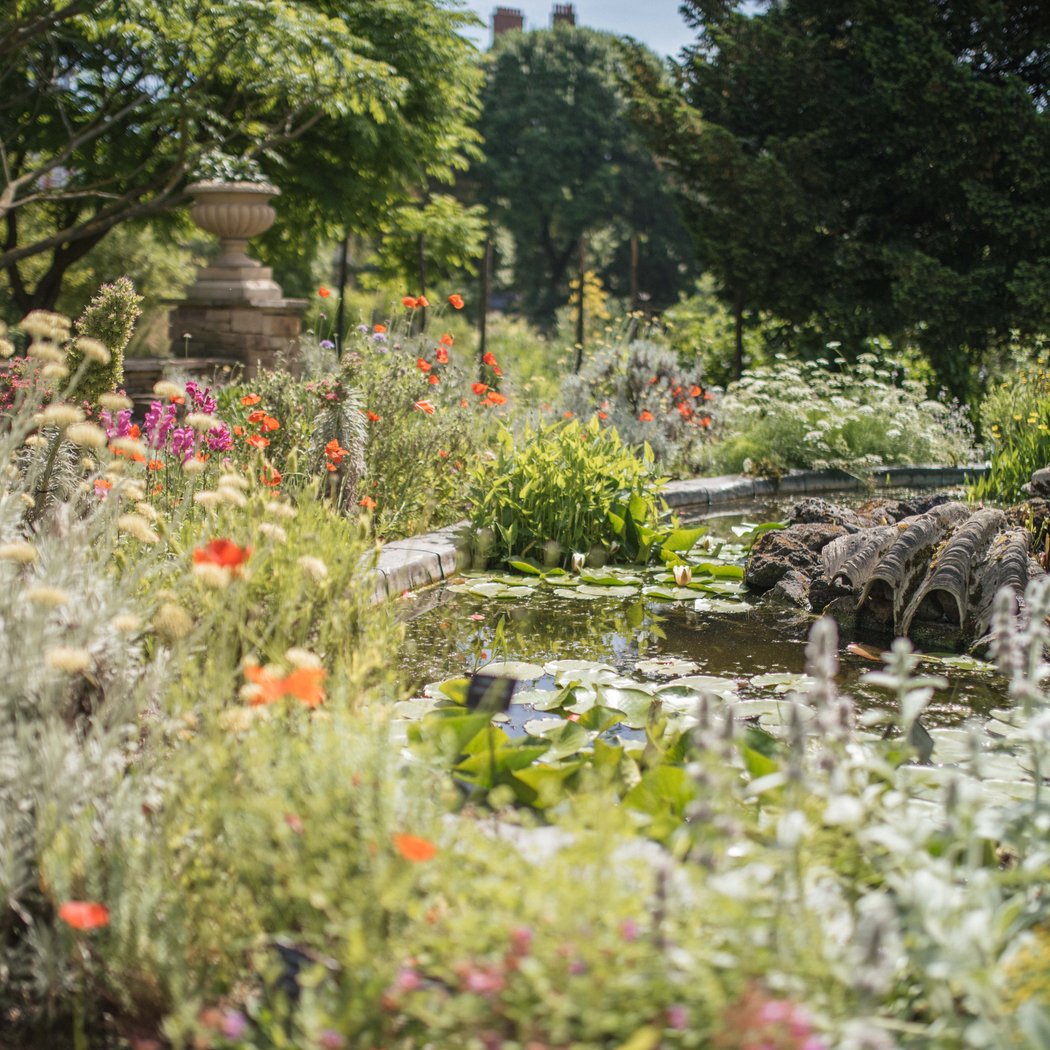 Chelsea Physic Garden 1