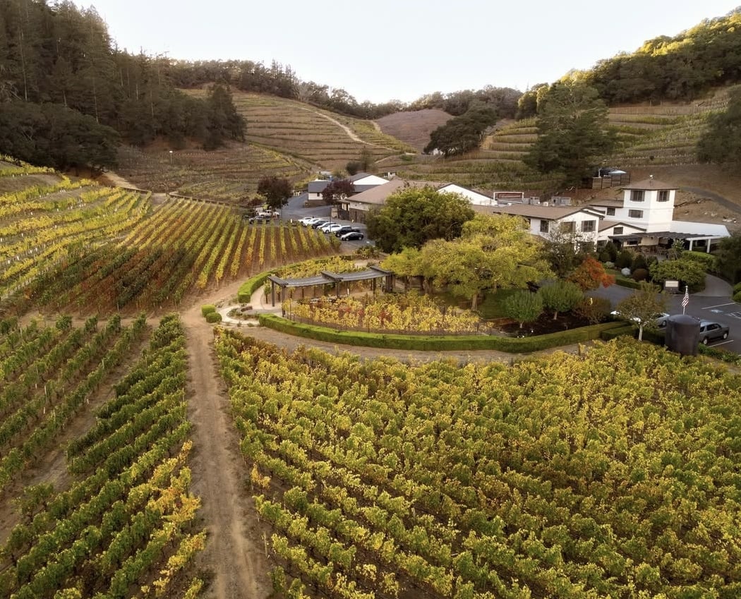Pine Ridge Vineyards 3