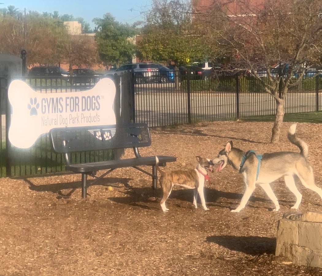 Dog Park at Clay Terrace 3