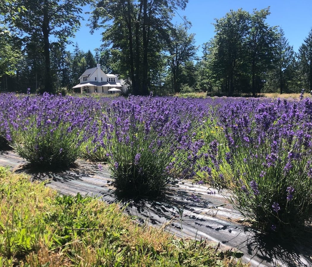 Books & Blooms 2