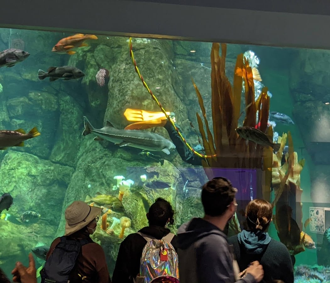 Point Defiance Zoo & Aquarium 3