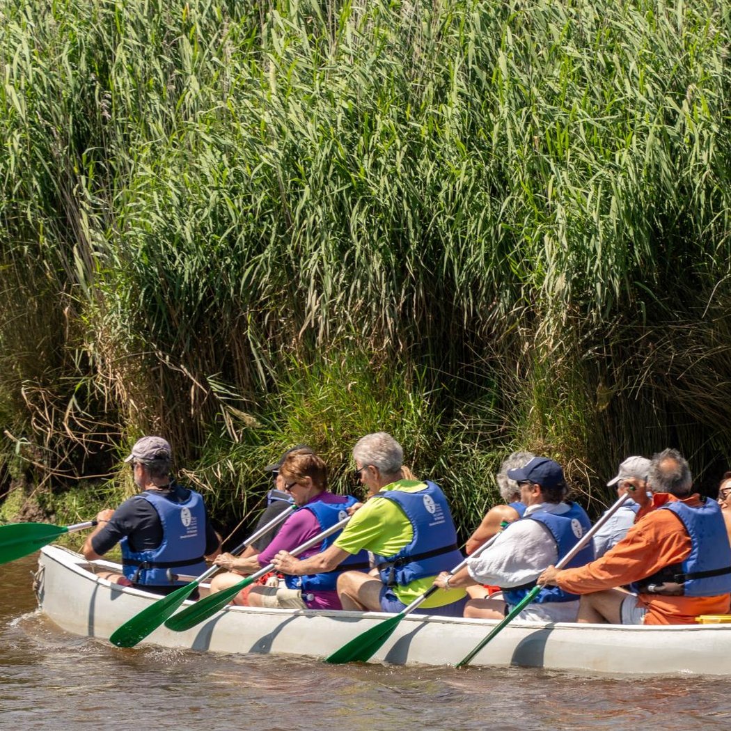 Balade en canoë collectif puis à pied dans la Réserve Ornithologique du Teich 1