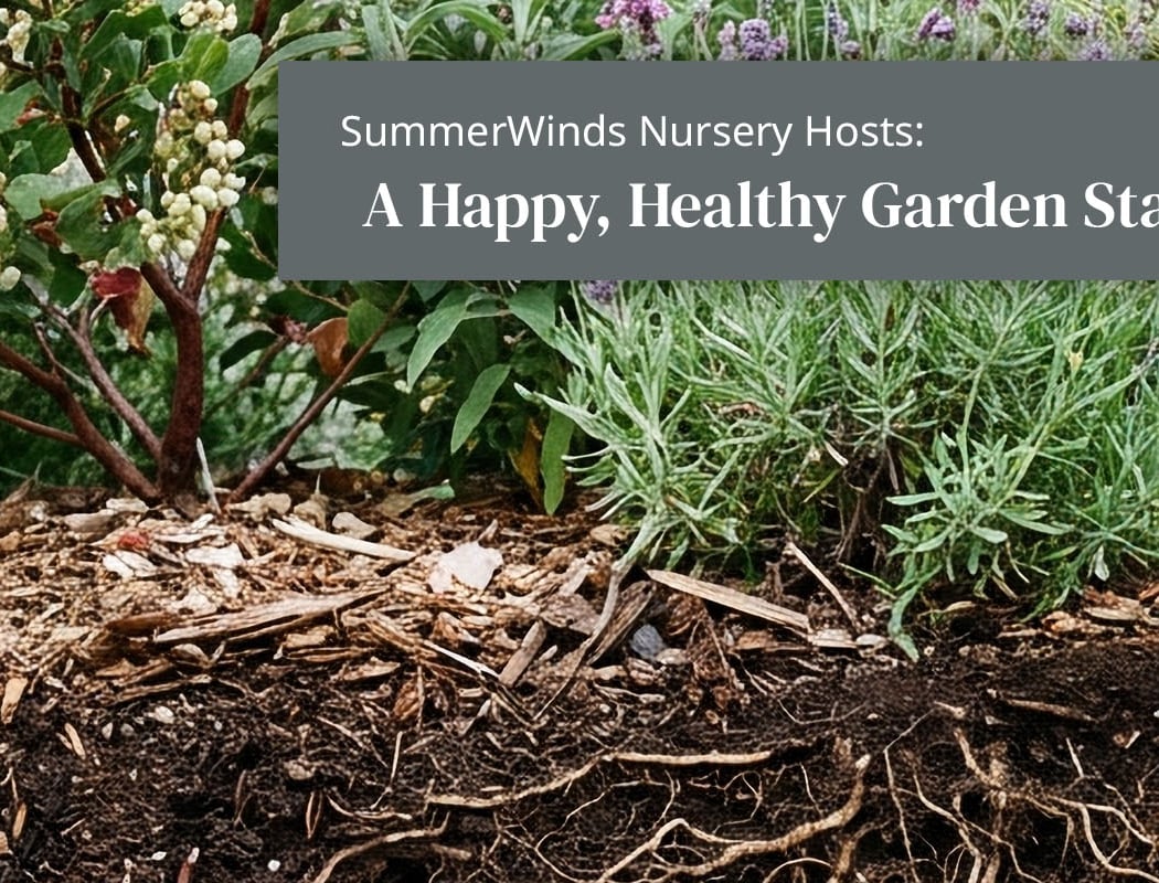 Healthy Gardens: Understanding Soil Types 1