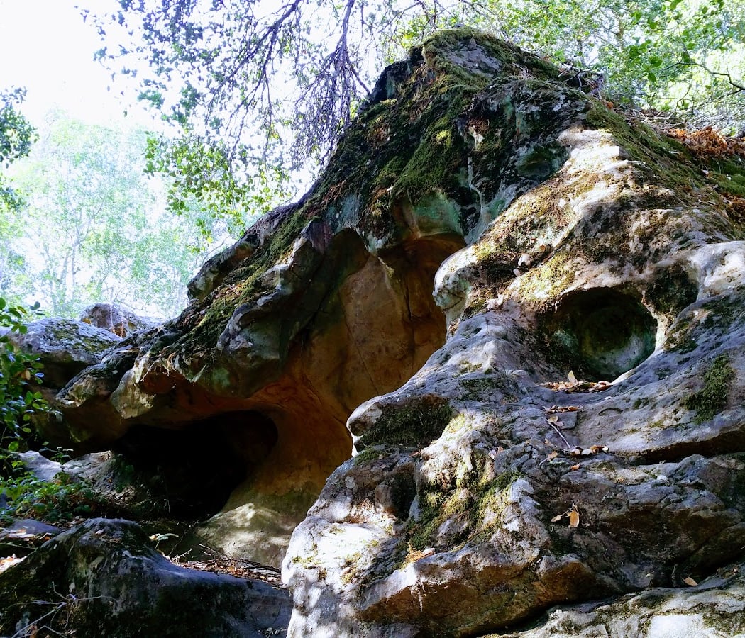 Chitactac-Adams Heritage County Park 2