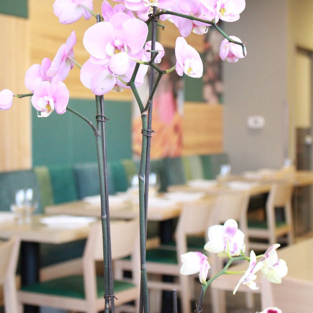 Lin Jia Asian Kitchen 3