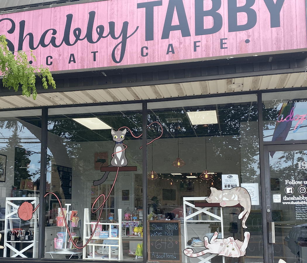 The Shabby Tabby Cat Cafe & Kitten Lounge 2