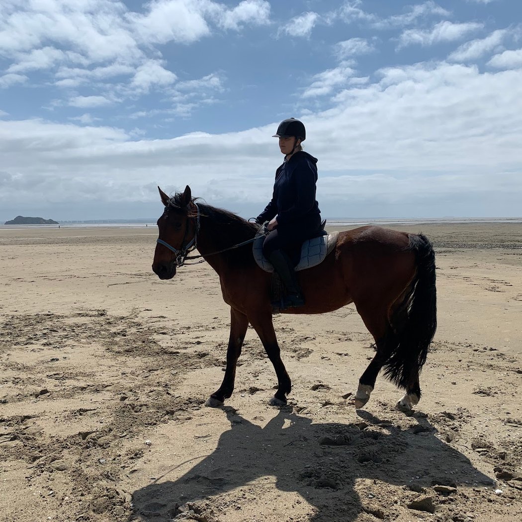 The Riage horse riding 2