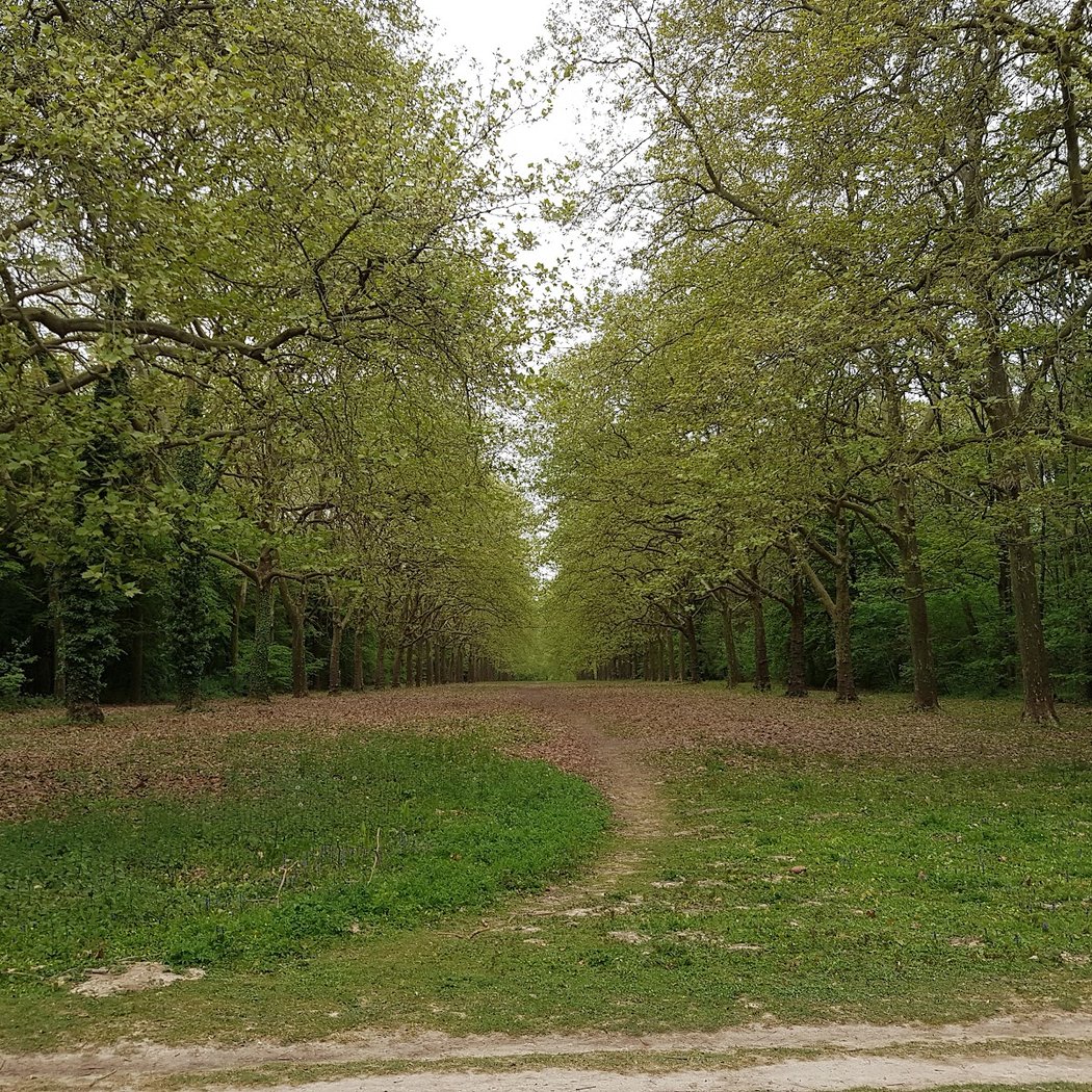 Parc de Villeroy 2