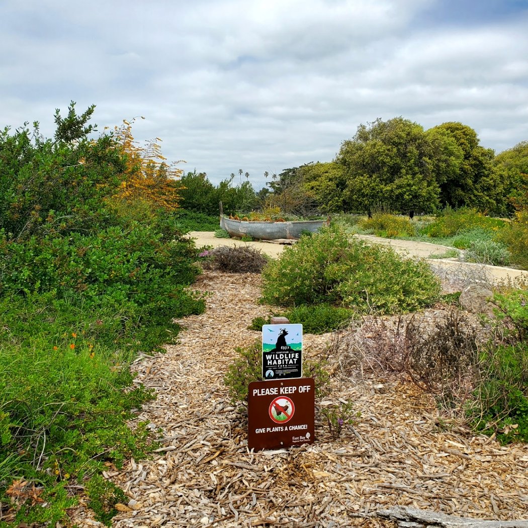 Habitat Garden 2