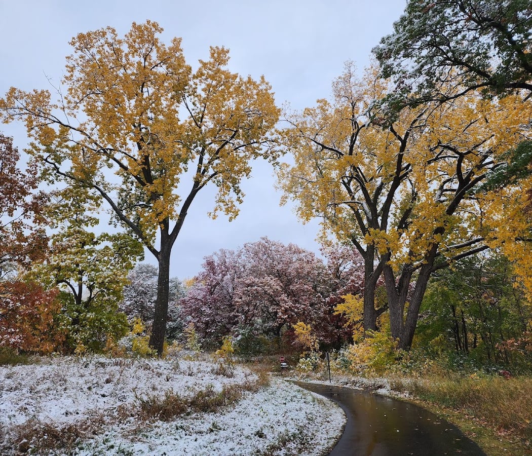 Silverwood Park 2