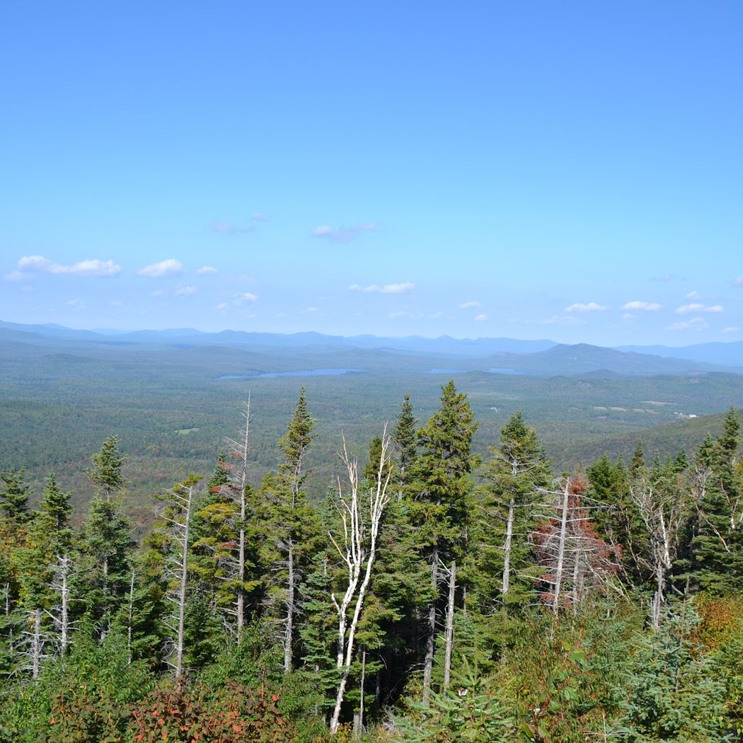 Whiteface Uphill Bike Race 2
