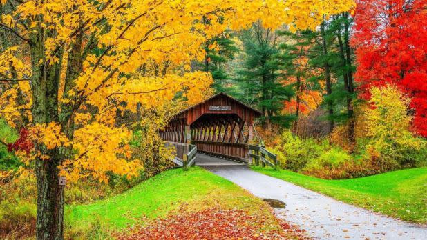 Allegany State Park 1
