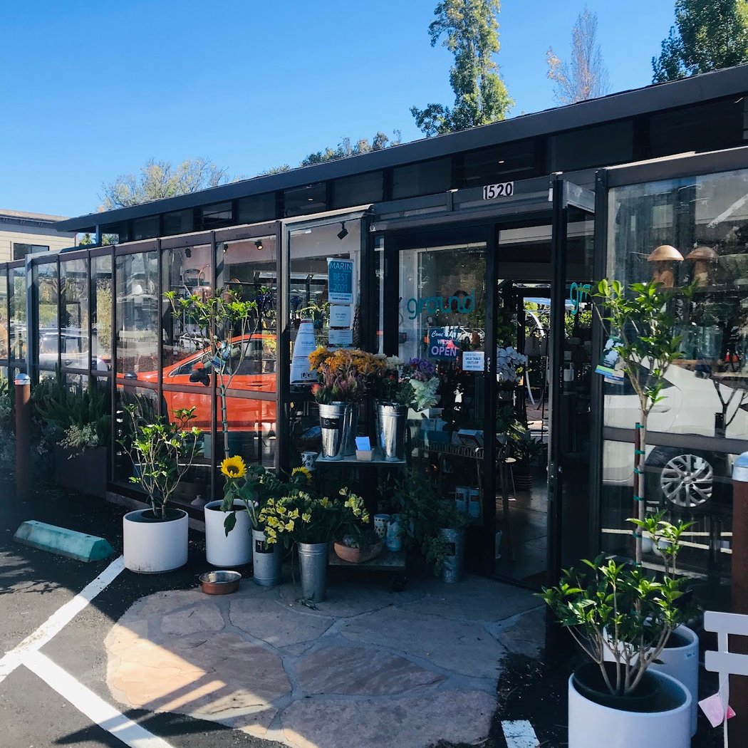 Tarot at That Garden Store 2
