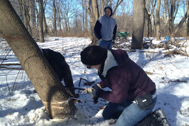 Bill Jarvis Migratory Bird Sanctuary Stewardship Day