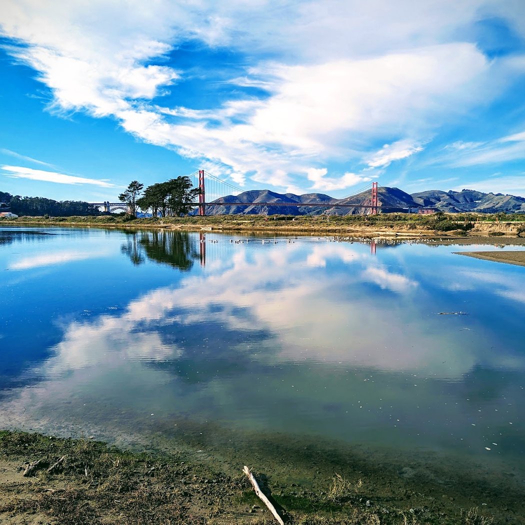 Crissy Field Marsh 1