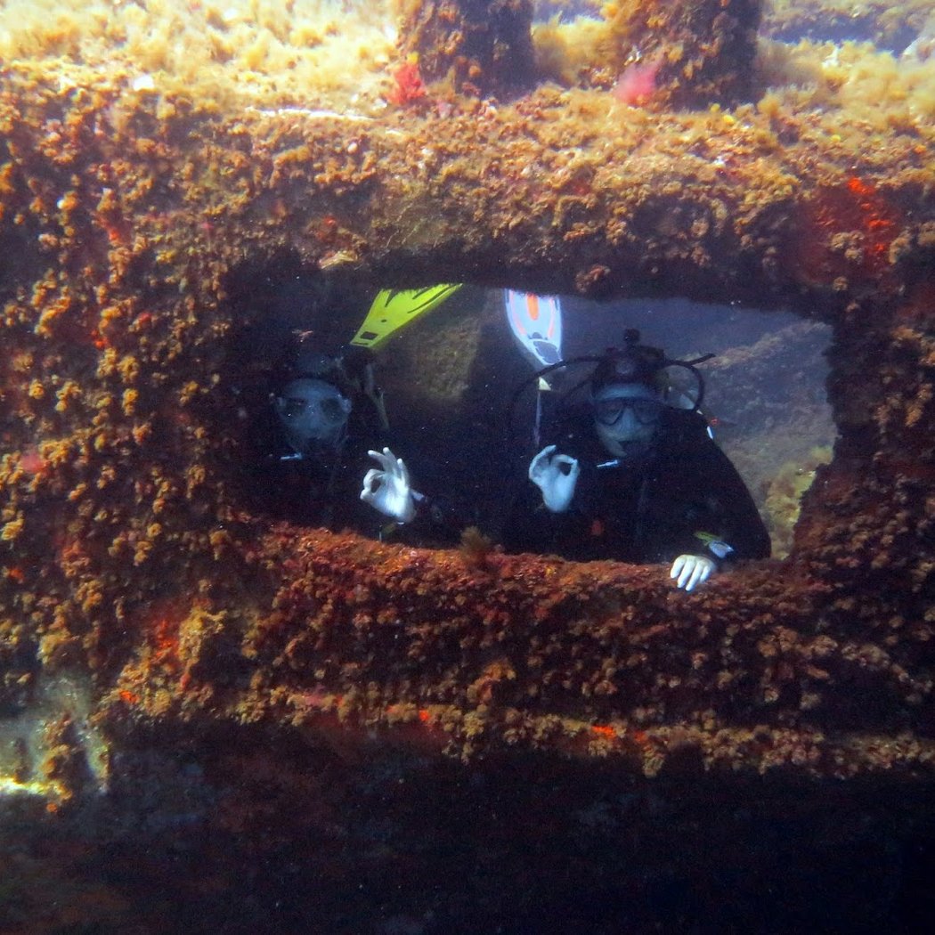 Site de plongée du cimentier 1