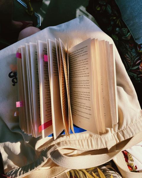 Shredded Book Contest