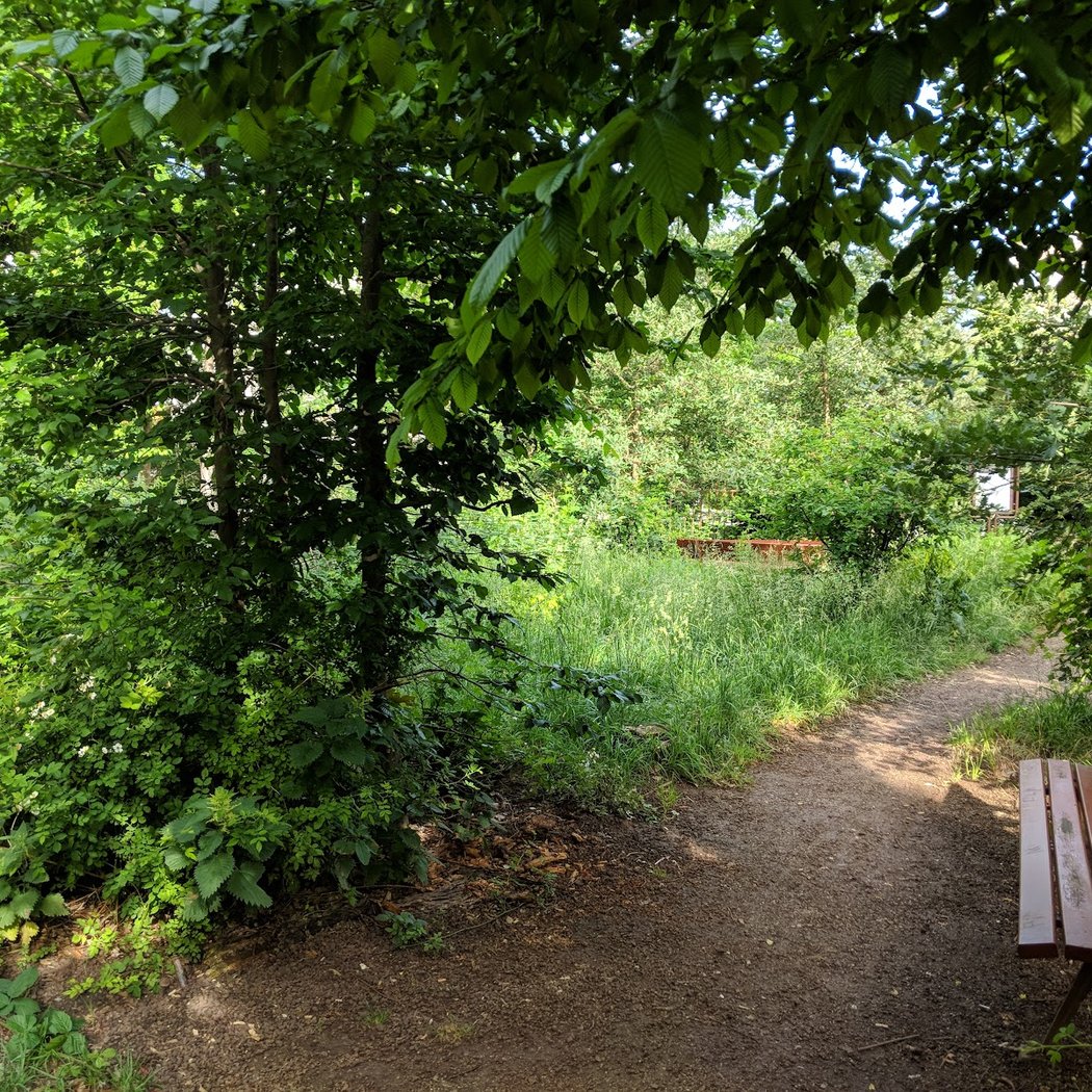 Jardin des Oiseaux 1