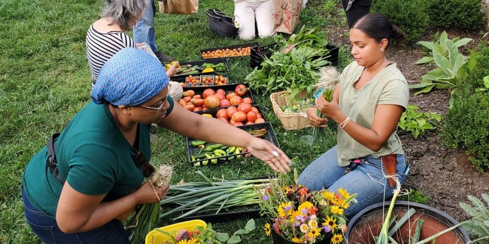 Home Farm Club at Wyck