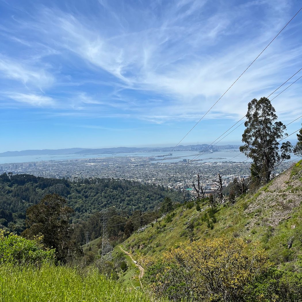Grizzly Peak Trail 2