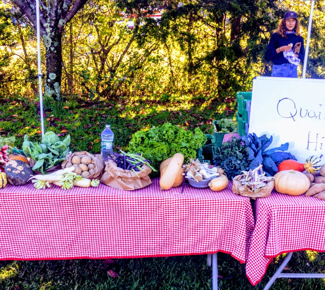 Sag Harbor Farmer's Market 1