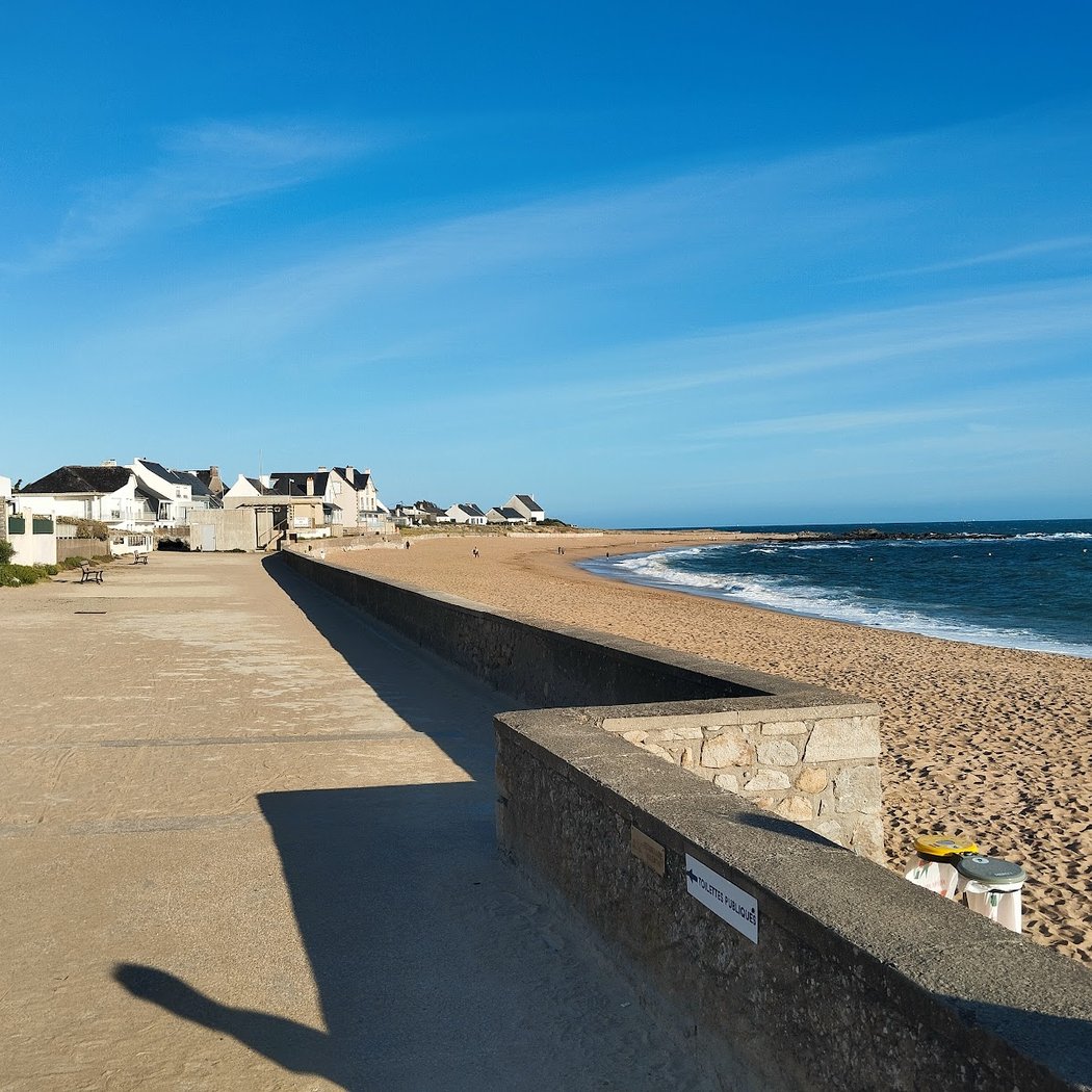 Entre plage et dunes 2