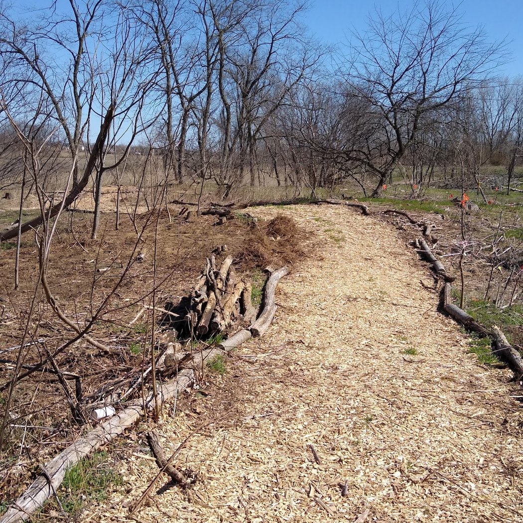 Idlewild Park Martin Luther King Jr. Day Woodland Tree Care with NYC Parks 1