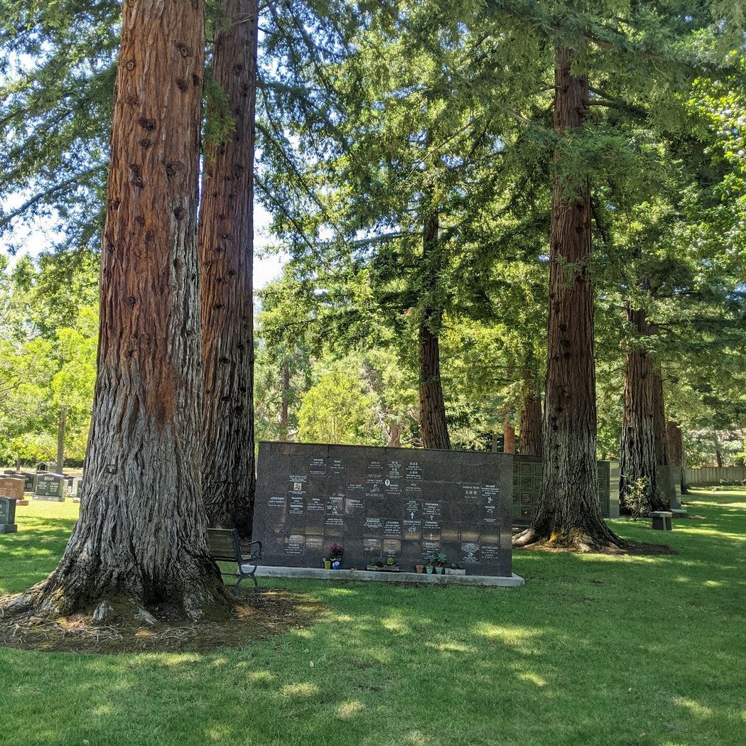 Madronia Cemetery 1