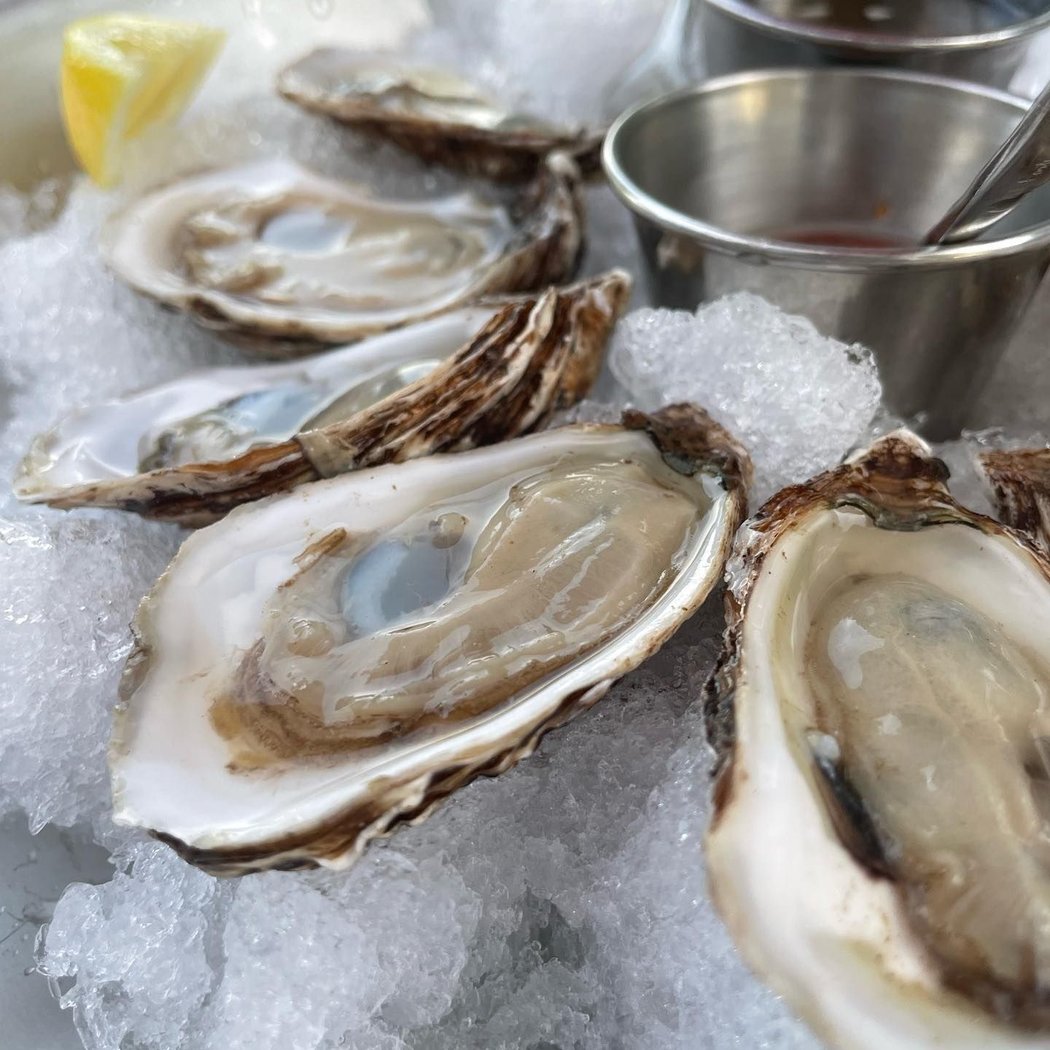 $1 Oysters