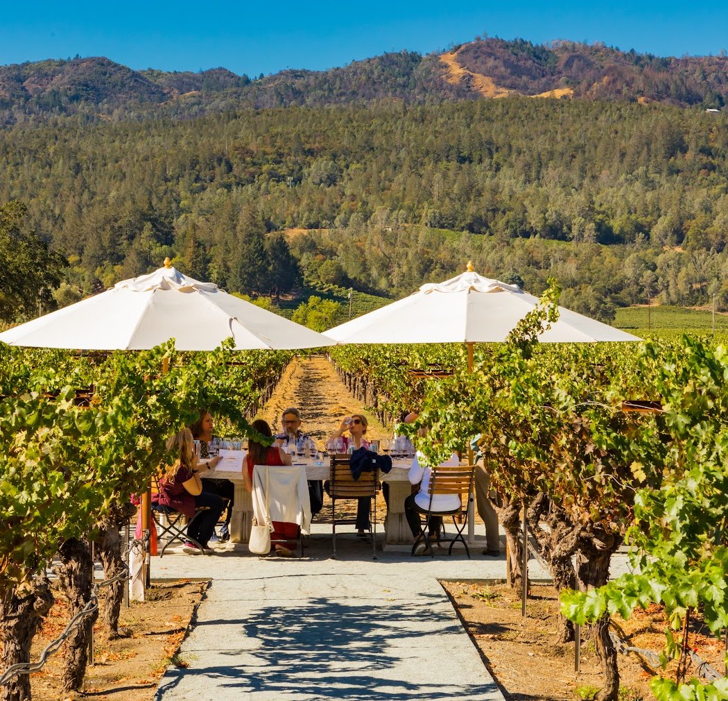 Ana Diogo-Draper at Napa Valley Wine Academy 3