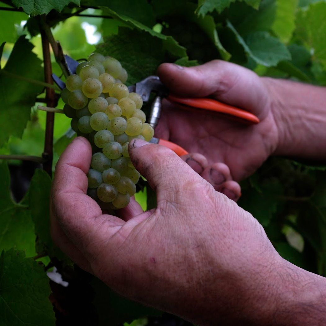 Domaines Vinet 1