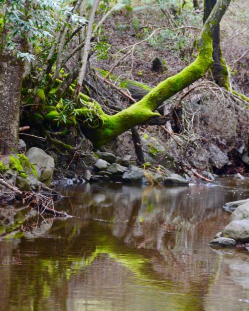 Moore Creek Park 2