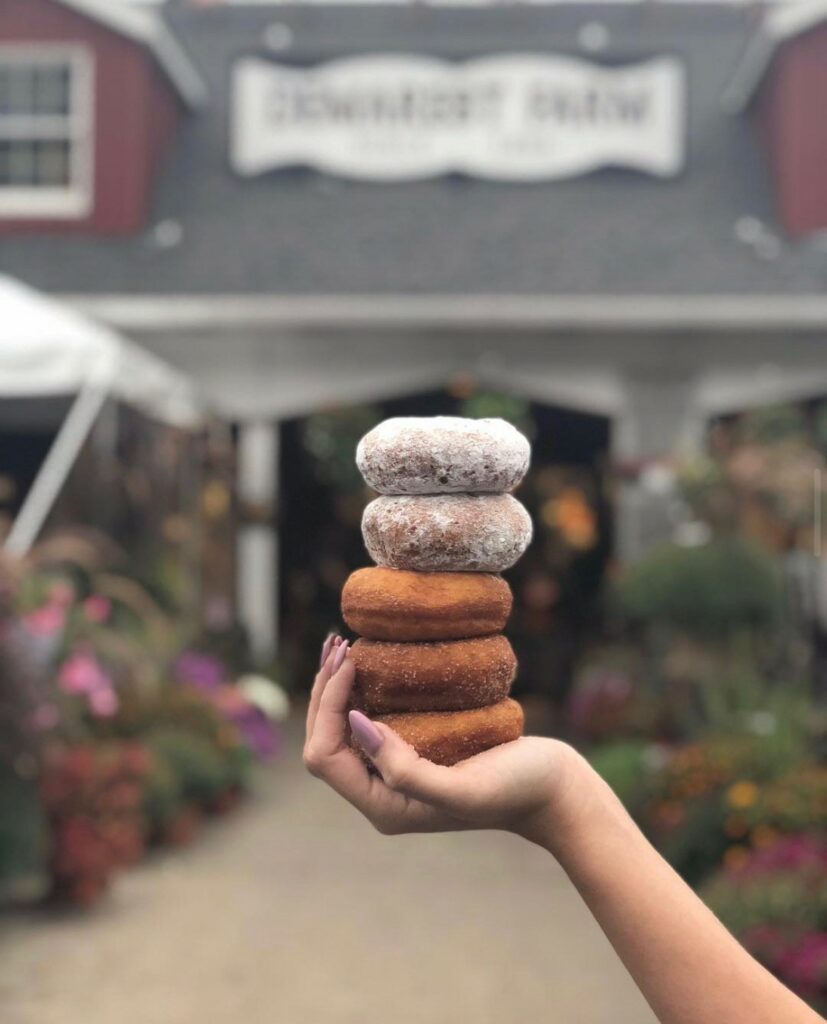 Demarest Farms 2