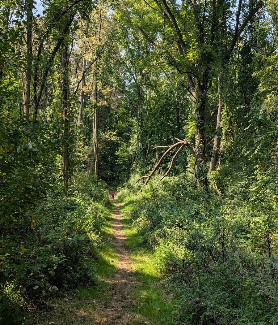 Marlboro Nature Trail 1