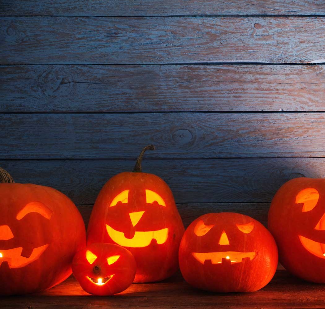 Trick or Treat in the Woods