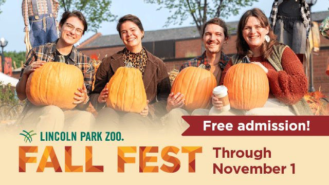 Fall Fest at Lincoln Park Zoo