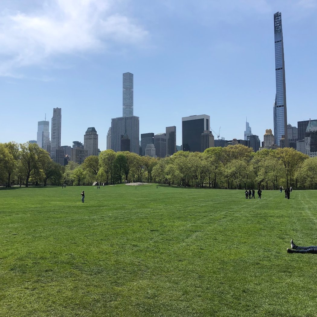 City Nature Challenge Bio Blitz 4