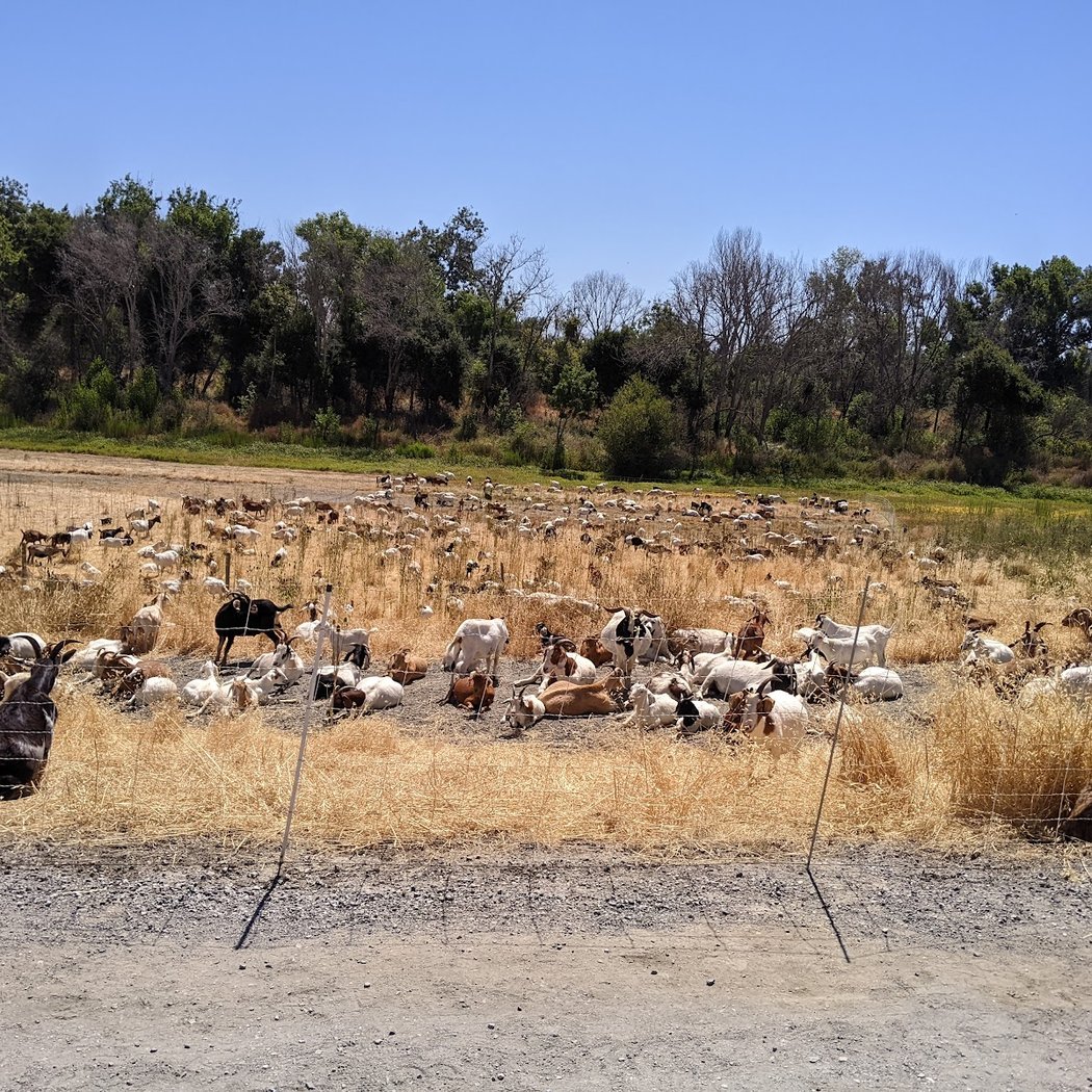 Coyote Creek Trail Head at E. Tasman 1