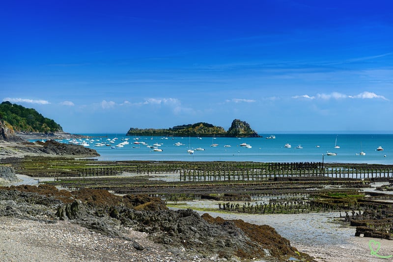 Le Coquillage 3