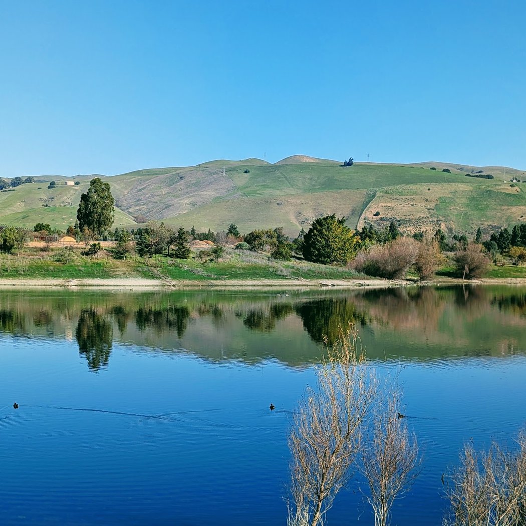 Vibha Bay Area Dream Mile 2026 5