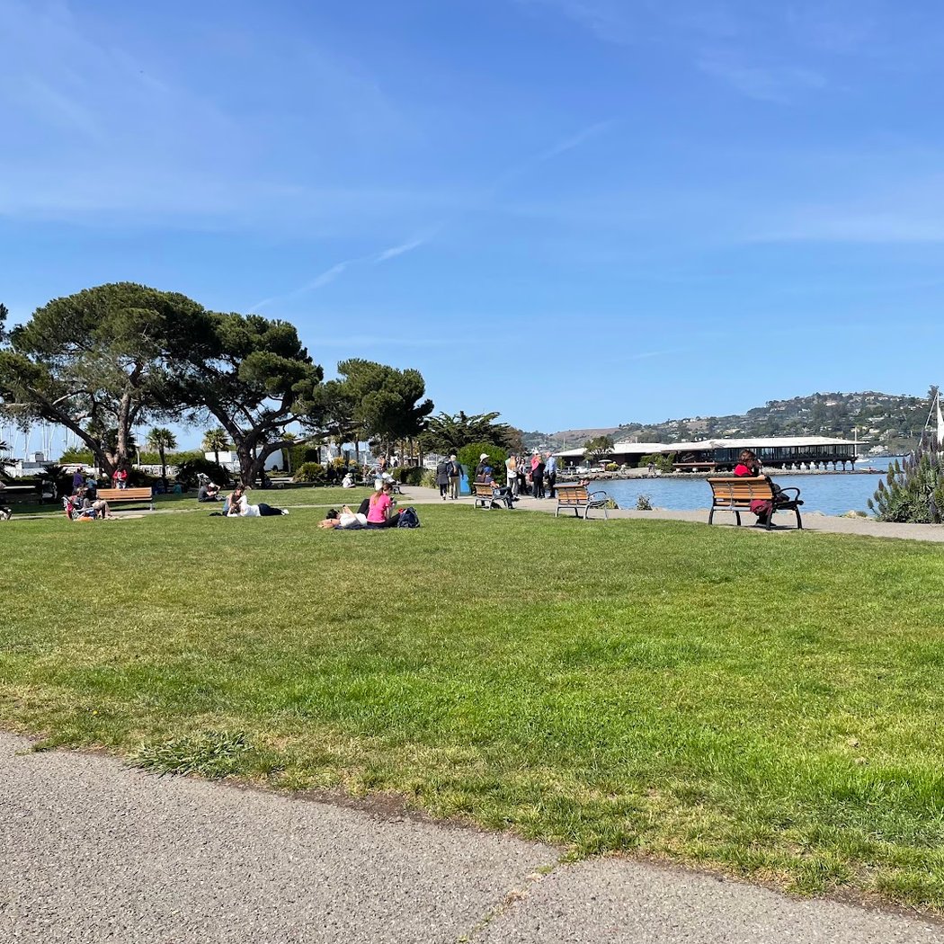 Dogs by the Bay 2026 2
