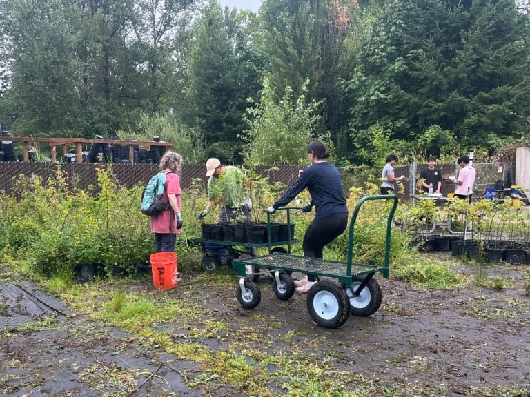 Habitat Restoration at Discovery Park 2