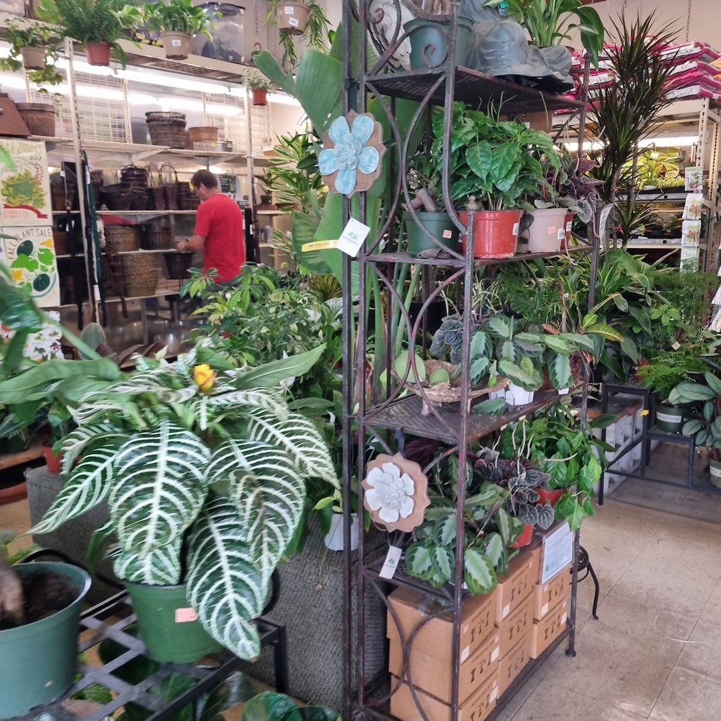 Grand Lake Ace Garden Center 1