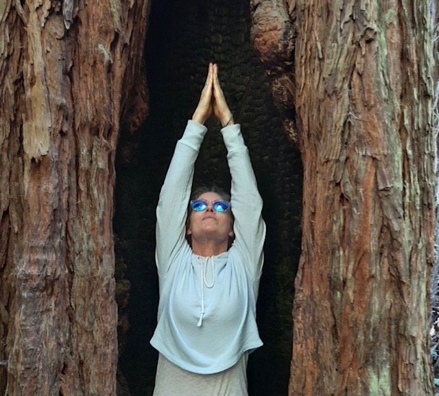 Yoga For Healthy Aging with Christa Reynolds 1