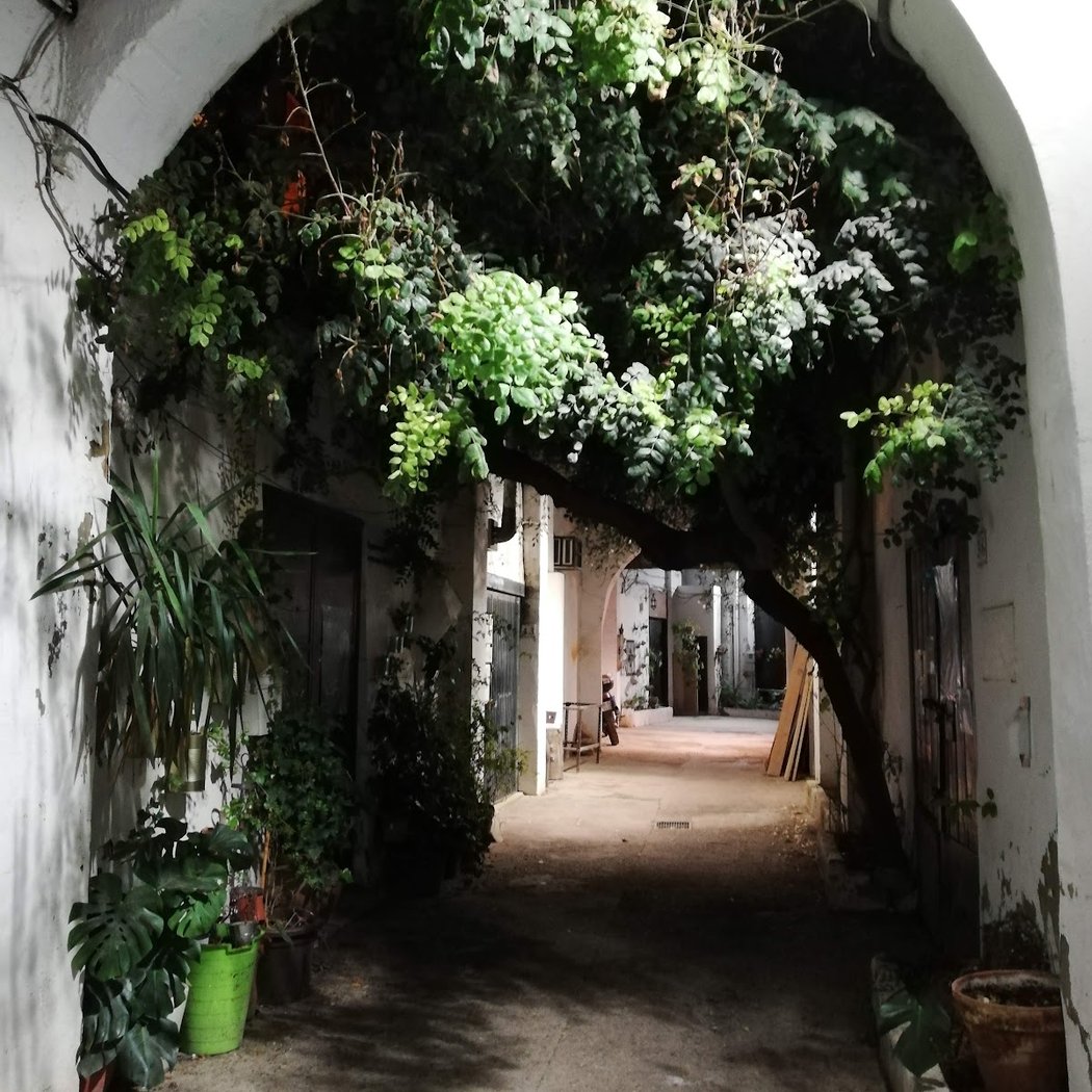 Coworking La bañera del Pelícano 1