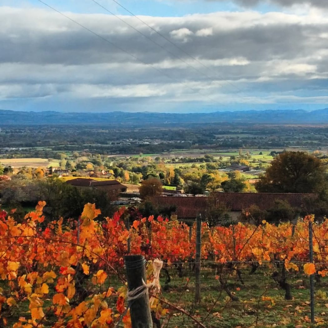 Domaine des Terrasses 2