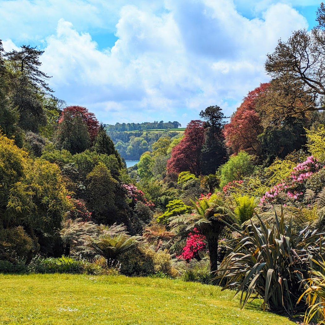 Trebah Garden 3