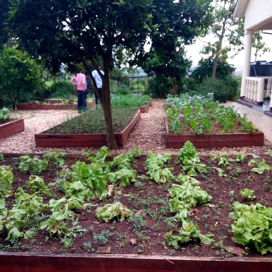 Gardens for Health International (GHI) 1